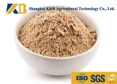 Saf Kahverengi Pirinç Protein Ürünleri / Hayvan Yemi için Pirinç Bazlı Protein Tozu